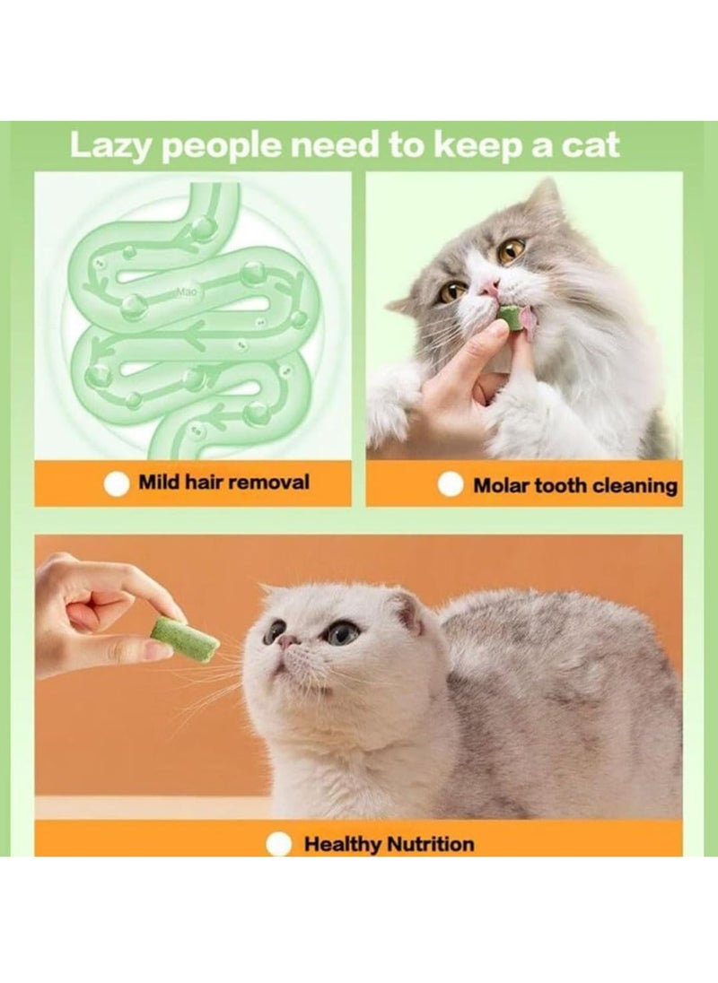 Meetion - 18PCS Cat Grass Teething Stick,Cat Grass Sticks,Cat Teeth Cleaning Cat Grass Stick,Natural Freeze Dried Cat Grass Chew Sticks for Hairball Removal, Teeth Cleaning - Image 1