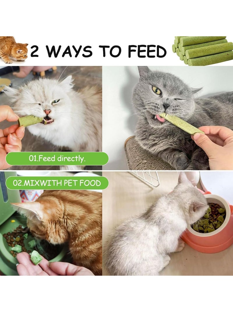 Meetion - 18PCS Cat Grass Teething Stick,Cat Grass Sticks,Cat Teeth Cleaning Cat Grass Stick,Natural Freeze Dried Cat Grass Chew Sticks for Hairball Removal, Teeth Cleaning - Image 1