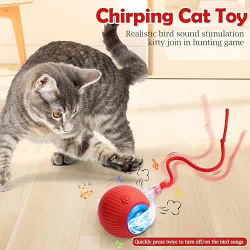 FOMQUAZLI Interactive Smart Cat Ball with Rope for Dogs & Cats | LED Light Auto Rolling | Rechargeable Pet Exercise Toy | Intelligent Obstacle Avoidance | 3 Speed Modes for Fun & Fitness - Image 2