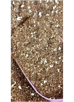 Generic Succulent cacti potting soil mix, contains mix of potting soil, lava stones, coarse sand, perlite, zeolite, rice husk, creating an ideal growing medium for cacti and succulents. 2.2lb  - Image 2