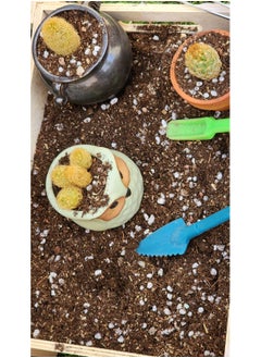 Generic Succulent cacti potting soil mix, contains mix of potting soil, lava stones, coarse sand, perlite, zeolite, rice husk, creating an ideal growing medium for cacti and succulents. 2.2lb  - Image 4