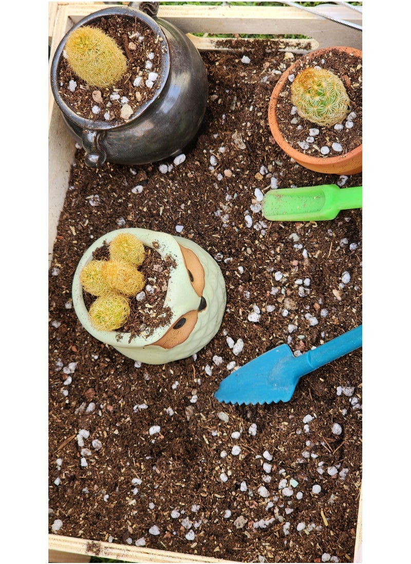 Generic - Succulent cacti potting soil mix, contains mix of potting soil, lava stones, coarse sand, perlite, zeolite, rice husk, creating an ideal growing medium for cacti and succulents. 2.2lb - Image 1