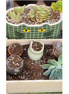 Generic Succulent cacti potting soil mix, contains mix of potting soil, lava stones, coarse sand, perlite, zeolite, rice husk, creating an ideal growing medium for cacti and succulents. 2.2lb  - Image 3