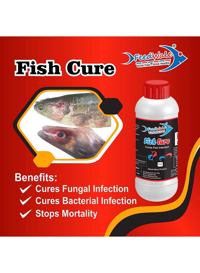 FeedWale Fish Cure for Fungal and Bacterial Infections in Aquaculture Ponds and Biofloc Fish Water Treatment BKC 80% - Image 4