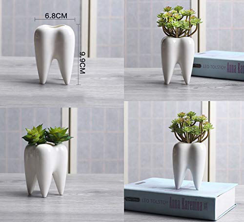 MONMOB Ceramic Tooth Shaped Pen Pencil Toothbrush Holder Pot Succulent Plant Pot Home Office School Dentists Gift Ideal Gifts for Women, Mom or Birthdays - Image 3