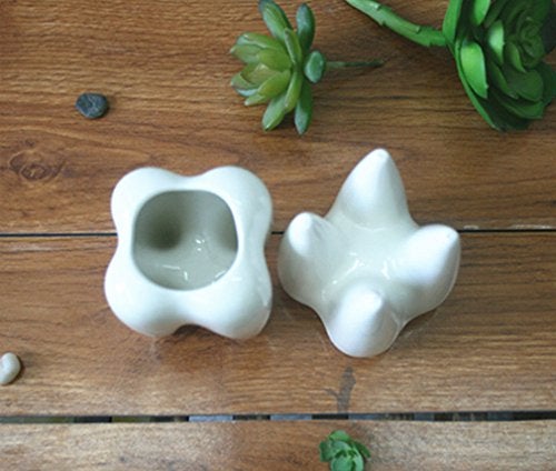 MONMOB Ceramic Tooth Shaped Pen Pencil Toothbrush Holder Pot Succulent Plant Pot Home Office School Dentists Gift Ideal Gifts for Women, Mom or Birthdays - Image 5