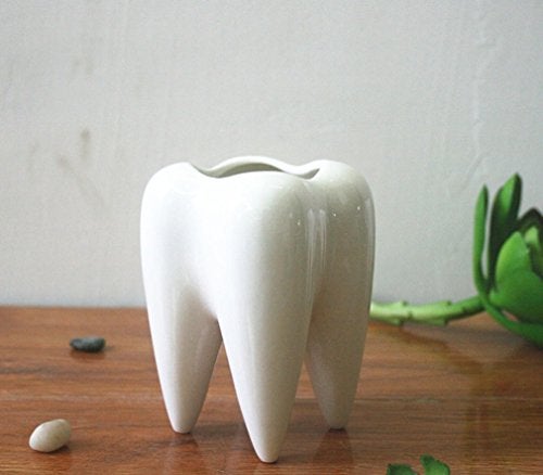 MONMOB Ceramic Tooth Shaped Pen Pencil Toothbrush Holder Pot Succulent Plant Pot Home Office School Dentists Gift Ideal Gifts for Women, Mom or Birthdays - Image 4