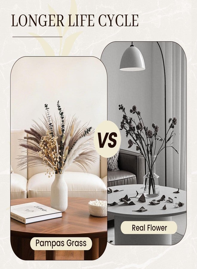 جوهاوس مجموعة جوهاوس المكونة من 120 قطعة من عشب البامباس المجفف لتزيين المزهريات، عشب البامباس الطبيعي، سيقان الأوكالبتوس، ذيول الأرانب، بطول 17 بوصة، مناسبة لتزيين المنازل بنمط البوهو وحفلات الزفاف والمنازل الريفية. - Image 5