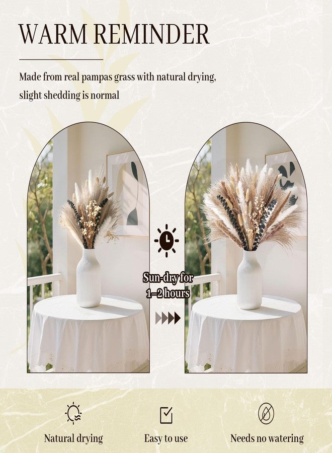 جوهاوس مجموعة جوهاوس المكونة من 120 قطعة من عشب البامباس المجفف لتزيين المزهريات، عشب البامباس الطبيعي، سيقان الأوكالبتوس، ذيول الأرانب، بطول 17 بوصة، مناسبة لتزيين المنازل بنمط البوهو وحفلات الزفاف والمنازل الريفية. - Image 4