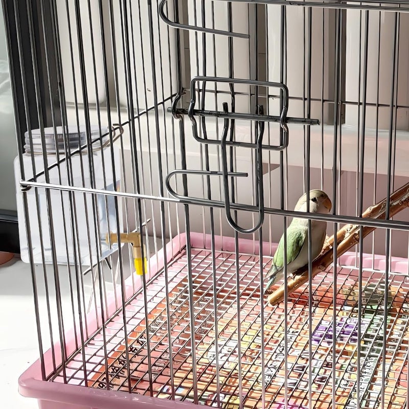 DQITJ Bird Automatic Water Dispenser Hanging Water Feeding Bottle with Versatile and Hook for Bird Quail Chick - Image 4