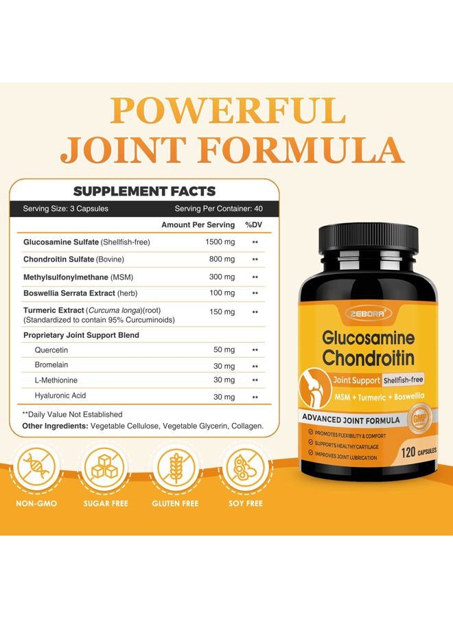 ZEBORA Glucosamine & Chondroitin, Joint Supplement for Women & Men, with MSM & Turmeric, Seafood Free, 120 Capsules - Image 2