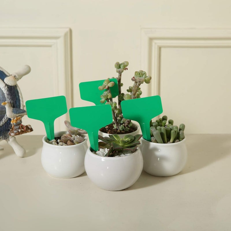 Mihey 100 Pcs T-Type Plant Labels with a Gel Pen, Waterproof Nursery Plant Tags Plastic Garden Markers, Green, 6 x 10cm - Image 5