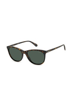 Polaroid Pld 4161/S Wayfarers Sunglasses  - Image 1