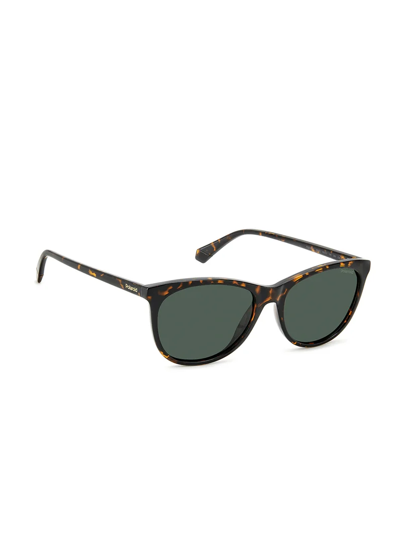 بولارويد Pld 4161/S Wayfarers Sunglasses