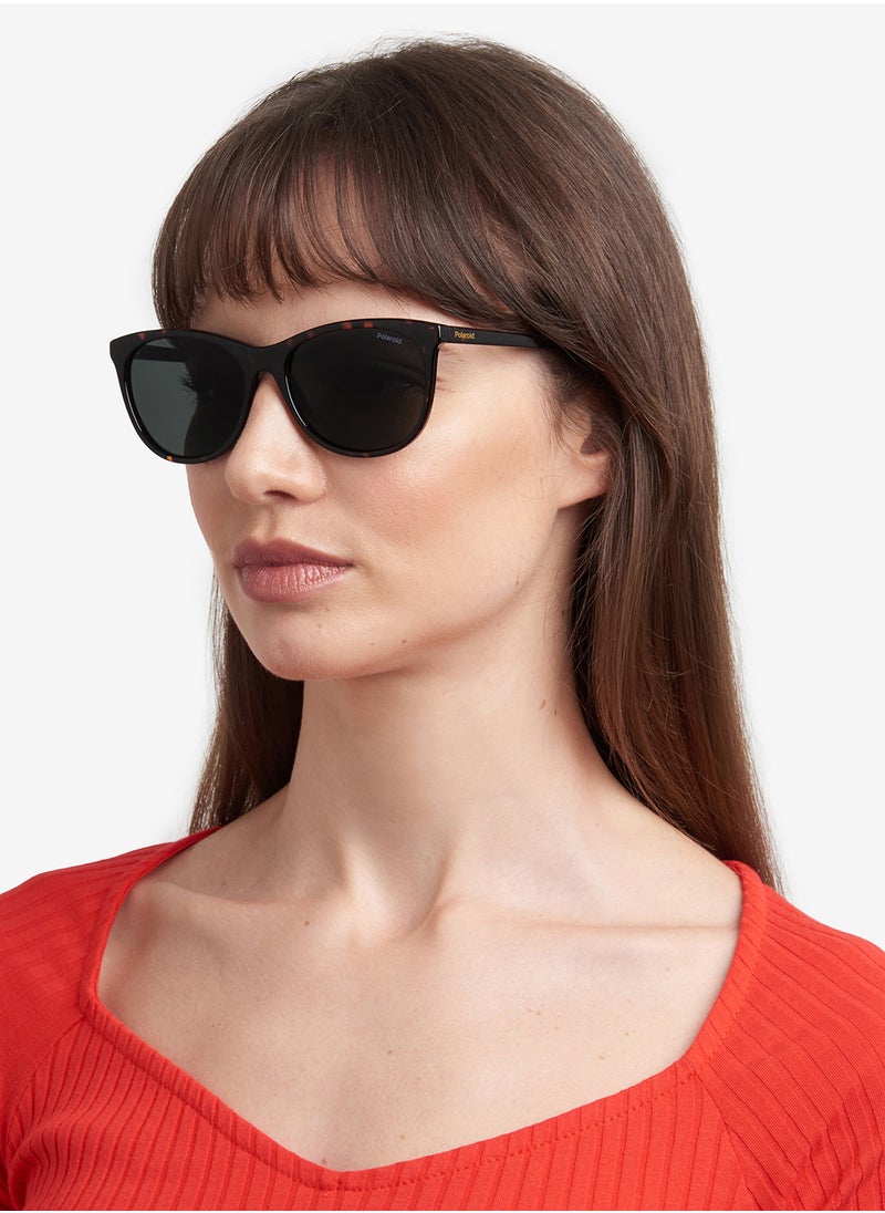 Polaroid Pld 4161/S Wayfarers Sunglasses  - Image 5