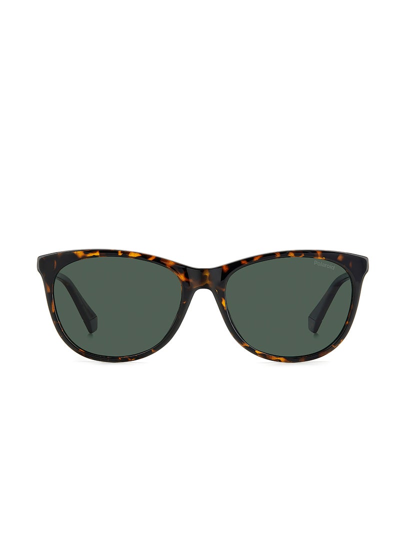 Polaroid Pld 4161/S Wayfarers Sunglasses  - Image 3