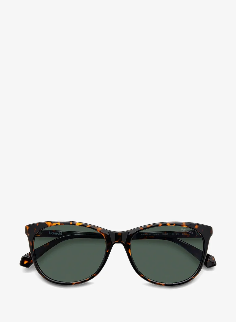 Polaroid  Wayfarers Sunglasses for Women | Best Price UAE