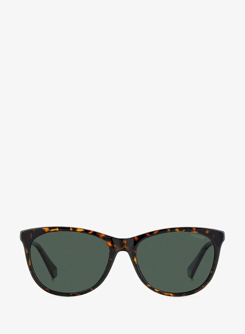 Polaroid  Wayfarers Sunglasses for Women | Best Price UAE