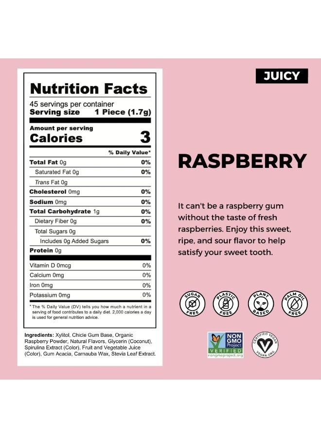 Refresh Plant-Based Raspberry Gum - Sugar Free - Image 2