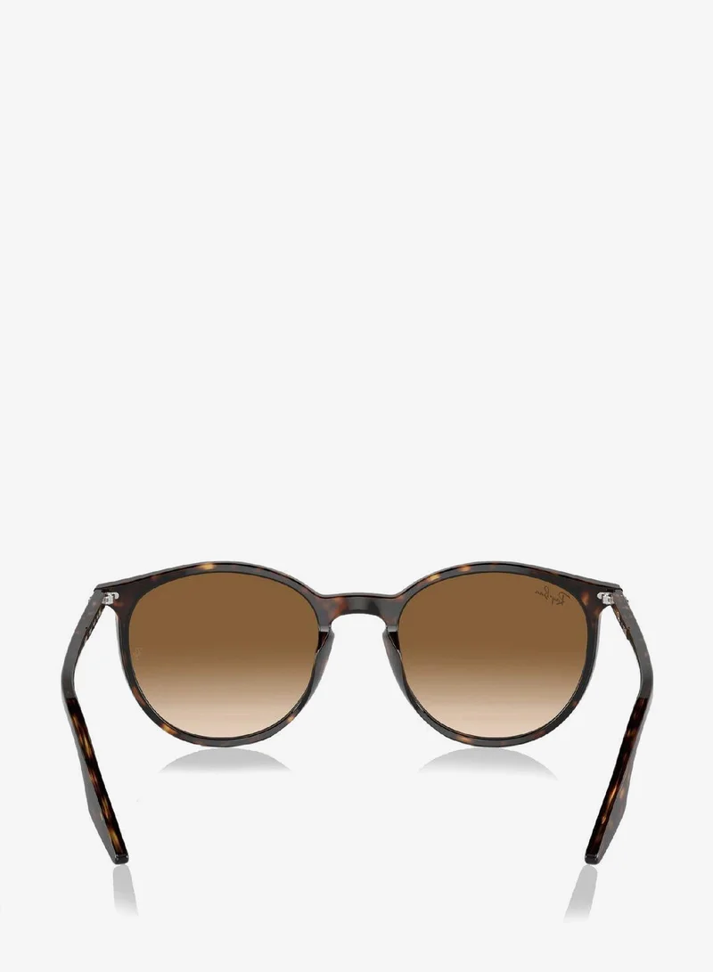Ray-Ban 0Rb2204 Round Sunglasses