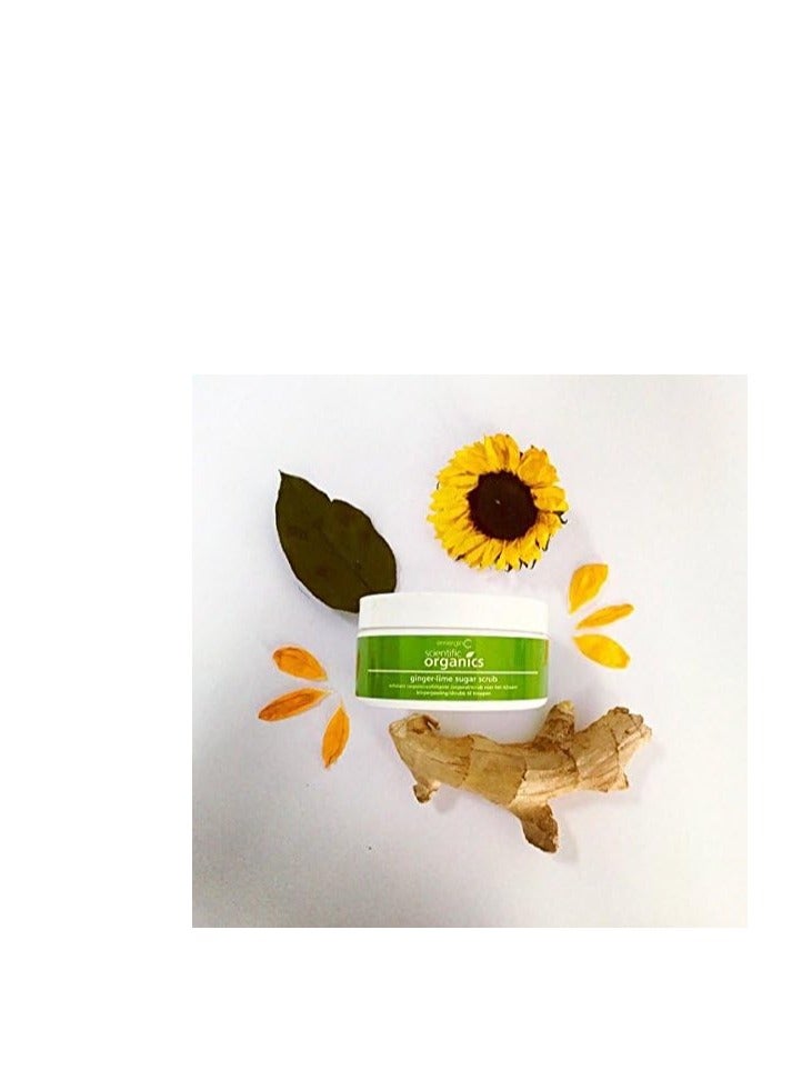 EmerginC emerginC Scientific Organics Ginger-Lime Sugar Scrub - Exfoliating Body Scrub with Vitamin E + Moisturizing Shea Butter, Ginger Root Oil + Coconut Oil - Removes Dead Skin (8 oz)  - Image 2