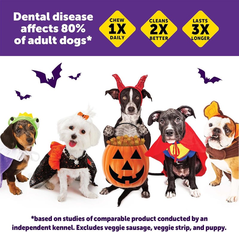 WHIMZEES Wellness WHIMZEES Fall Dog Dental Treats, Autumn Natural Chews for Dogs, Small Size Stick, (12 Count) - Image 5