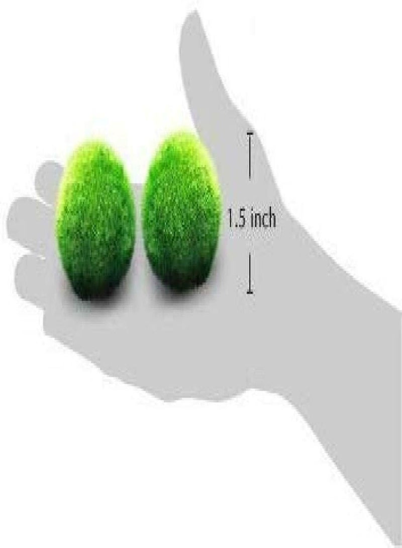 GGOOT Eco Friendly Moss Balls Live Plants for Aquarium Moss - Image 4