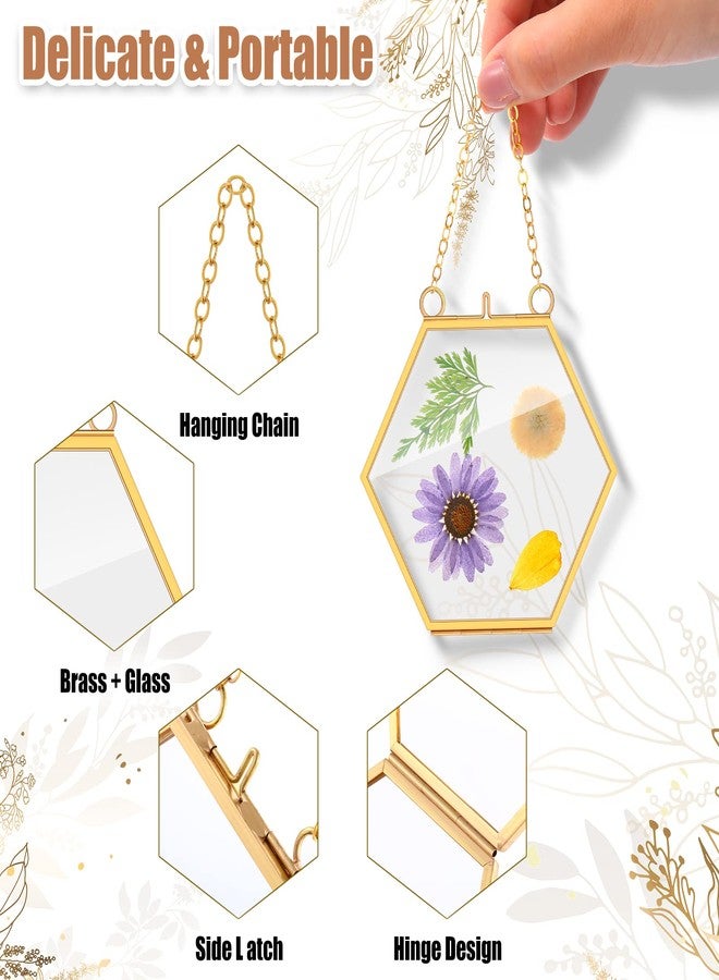 Marsui 8 Pcs Pressed Flower Frames 4 x 3 Inch Hanging Glass Floating Photo Frames Glass for Pressed Flowers Double Picture for Artwork Display Photo Modern Home Wall Decor(Gold) - Image 3