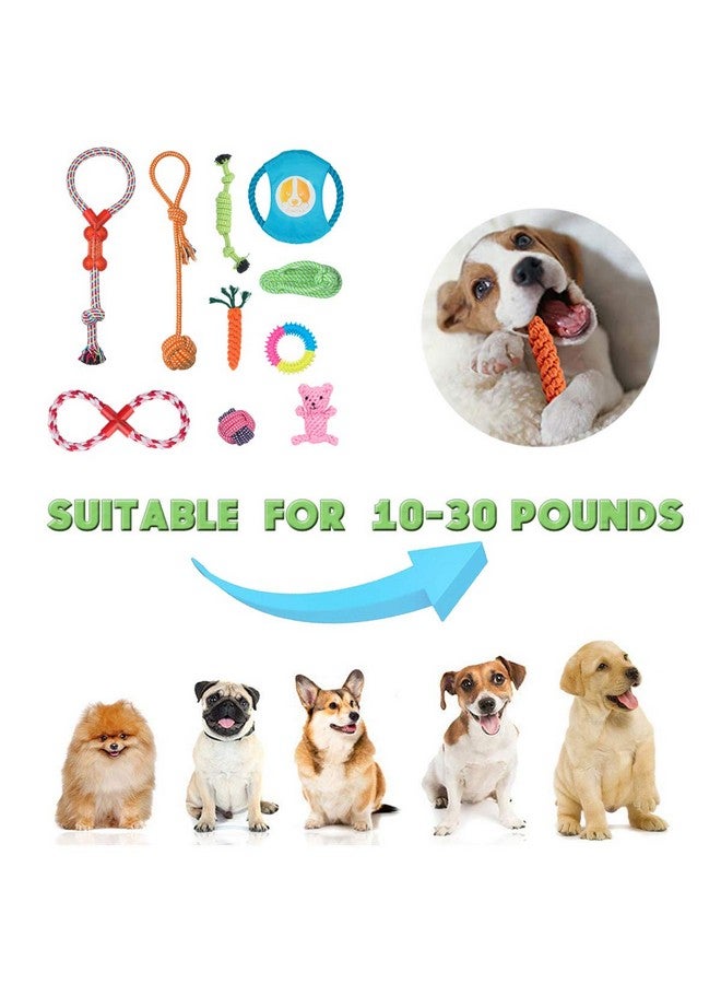 Angelland Dog Chew Toys for Small to Medium Dogs - 10 Pack Tough Dog Toys, Interactive Rope Teething Toy for Puppy, Durable Tug of War Toy, Birthday and Festival Gift Set - Image 2