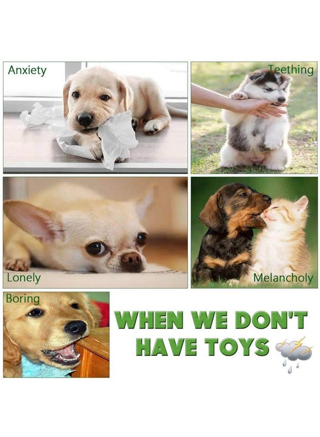 Angelland Dog Chew Toys for Small to Medium Dogs - 10 Pack Tough Dog Toys, Interactive Rope Teething Toy for Puppy, Durable Tug of War Toy, Birthday and Festival Gift Set - Image 3