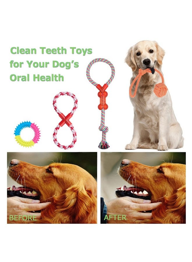 Angelland Dog Chew Toys for Small to Medium Dogs - 10 Pack Tough Dog Toys, Interactive Rope Teething Toy for Puppy, Durable Tug of War Toy, Birthday and Festival Gift Set - Image 4