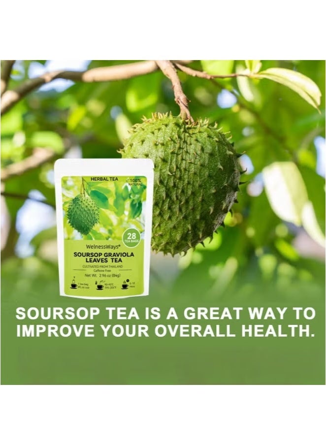 WelnessWays 2-PACKS 100% Pure Soursop Graviola Leaves tea,Annona muricata - Guanabana - Premium Quality 100% Pure Leaf - Image 3