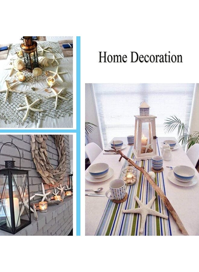 Starfish Decor - 10-12 Pack Assorted Star Fish for Crafts - White Wall Décor - Beach Wedding Decorations - Shells for Decoration (10) - Image 5