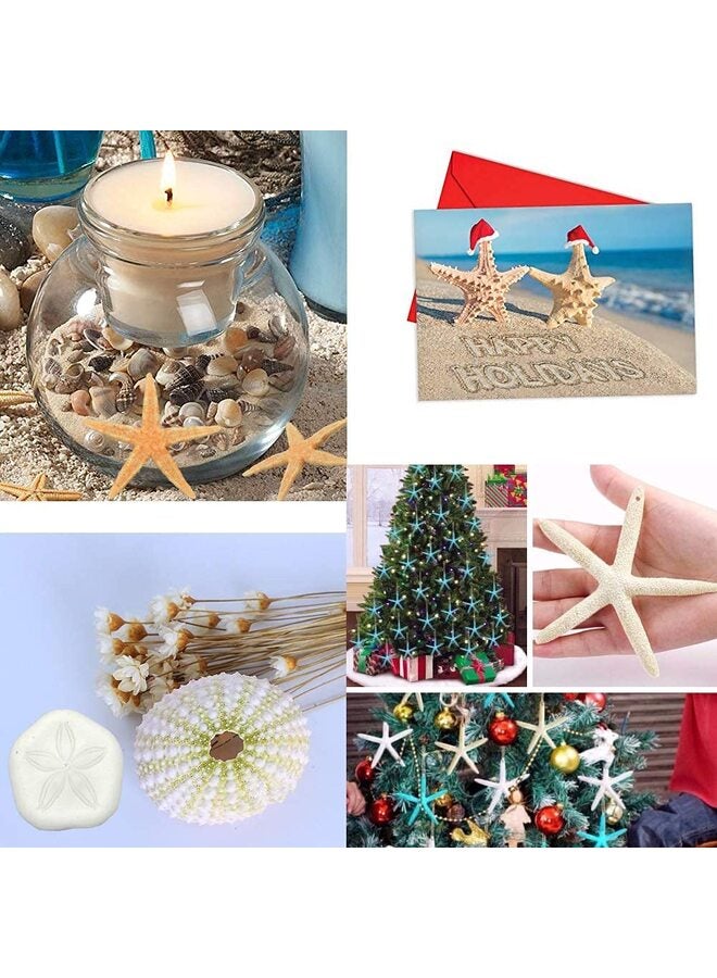 Starfish Decor - 10-12 Pack Assorted Star Fish for Crafts - White Wall Décor - Beach Wedding Decorations - Shells for Decoration (10) - Image 4