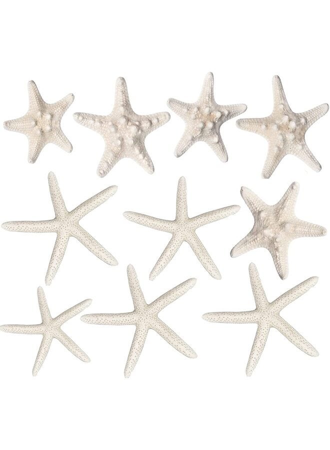 Starfish Decor - 10-12 Pack Assorted Star Fish for Crafts - White Wall Décor - Beach Wedding Decorations - Shells for Decoration (10) - Image 1