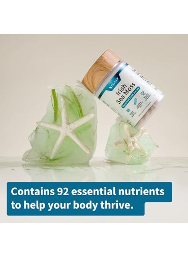 SNAP SUPPLEMENTS كبسولات طحالب البحر الأيرلندية مع بلادرواك، جذر الأرقطيون واليود لدعم الطاقة - مكمل طحالب البحر لتحسين المزاج، تقوية المناعة والهضم، تجديد لون البشرة - حبوب طحالب البحر (60 كبسولة) - Image 4