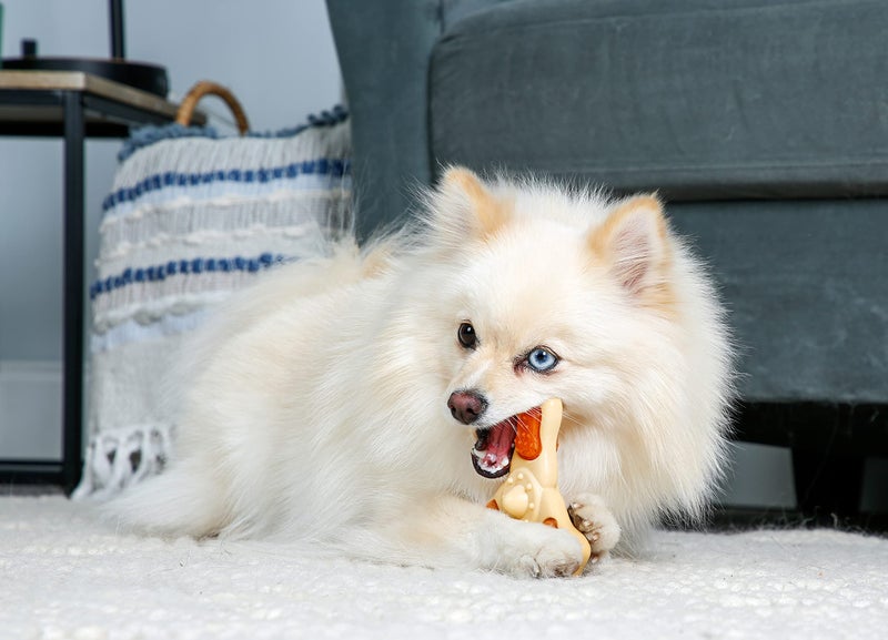 Hartz Chew â€˜n Clean Chew Toy and Treat in One Chicken Flavored Tri-Point Dog Toy, Small - Image 4
