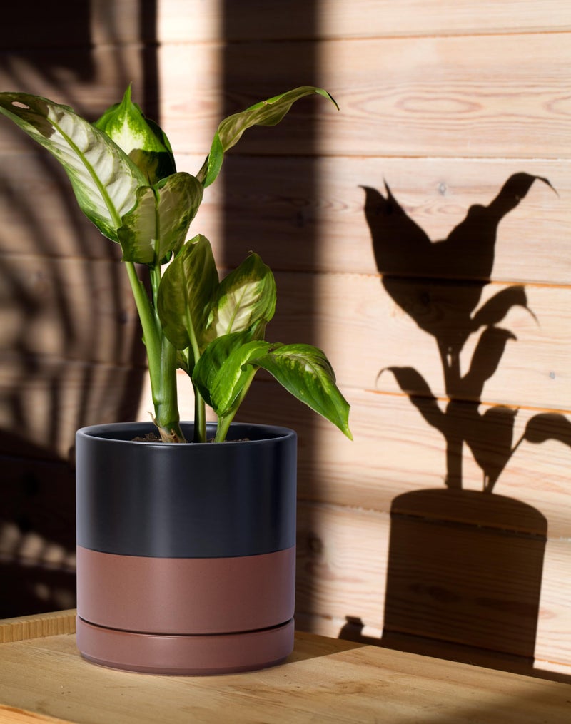 D'vine Dev Set of 2 Plants Pots, 6 Inch Ceramic Planter Pot for Plants with Drainage Hole and Saucer, Black/Speckled Tan, 94-V-C-7 - Image 2