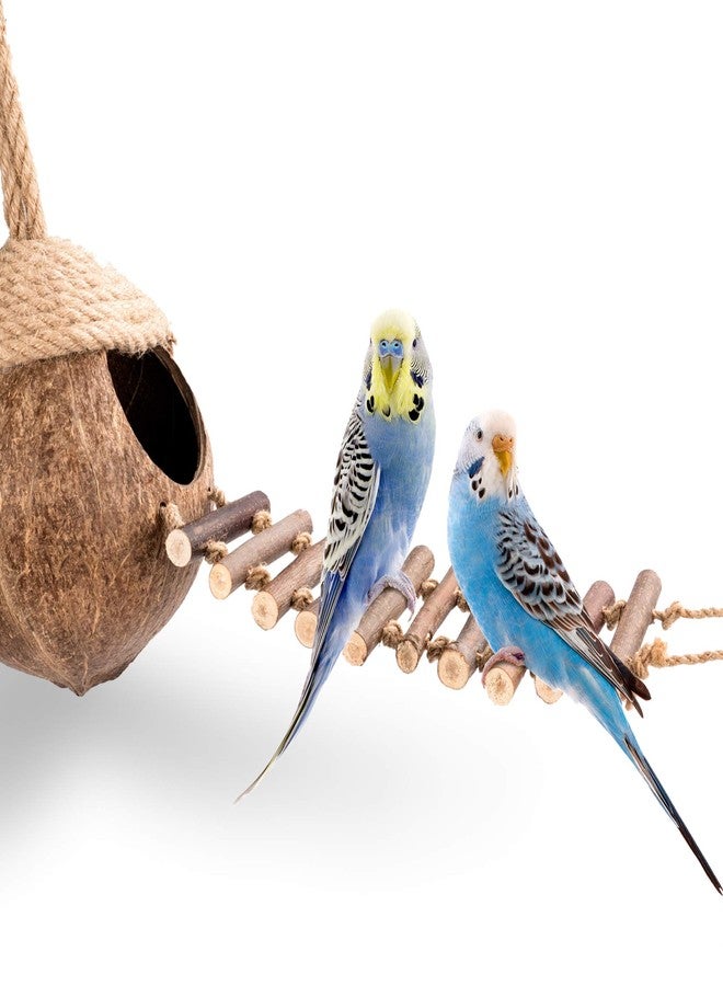 andwe Coconut Bird Nest Hut with Ladder for Parrots Parakeet Conures Cockatiel - Small Animals House Pet Cage Habitats Decor - Image 2