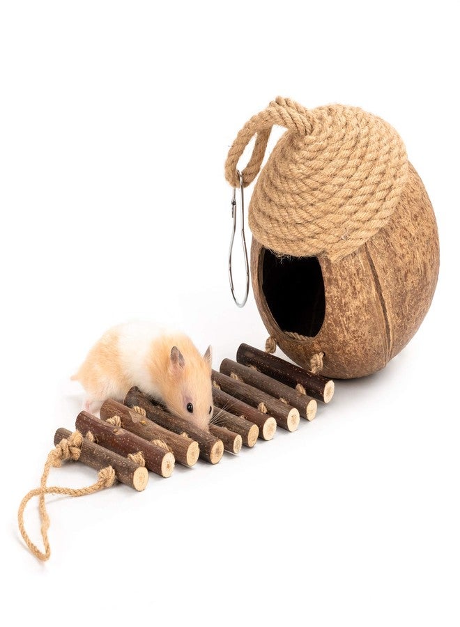 andwe Coconut Bird Nest Hut with Ladder for Parrots Parakeet Conures Cockatiel - Small Animals House Pet Cage Habitats Decor - Image 3