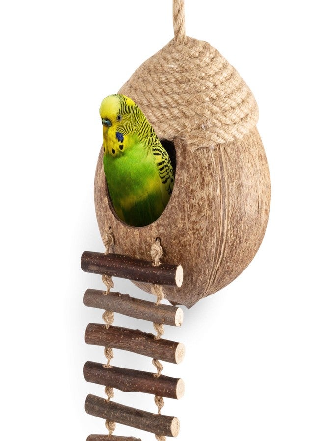 andwe Coconut Bird Nest Hut with Ladder for Parrots Parakeet Conures Cockatiel - Small Animals House Pet Cage Habitats Decor - Image 1