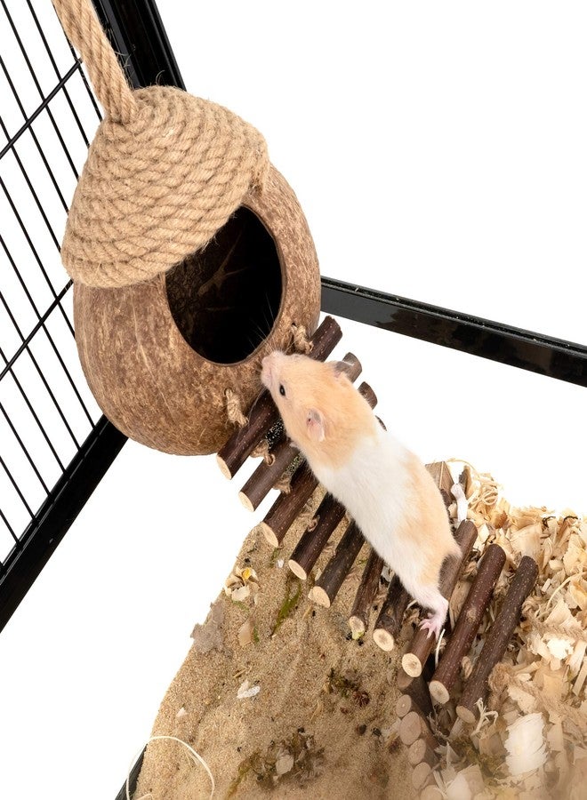 andwe Coconut Bird Nest Hut with Ladder for Parrots Parakeet Conures Cockatiel - Small Animals House Pet Cage Habitats Decor - Image 4