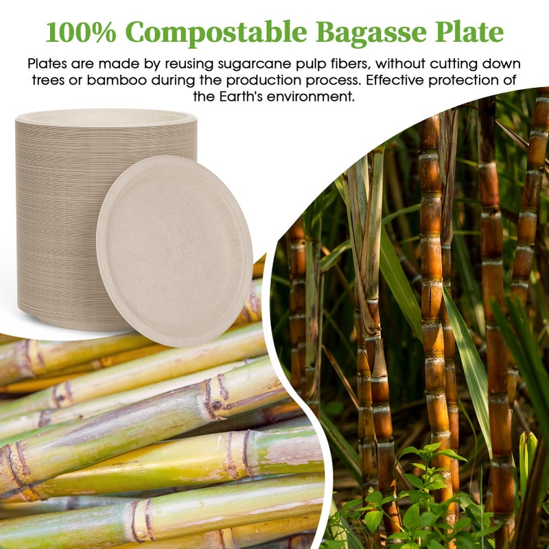 ECOLipak 6 Inch Disposable Compostable Small Paper Plates, 500 Pack Recycled Sugarcane Bagasse Biodegradable Heavy Duty Mini Dinner Appetizer Cake Dessert Plates for Party(Nature) - Image 3