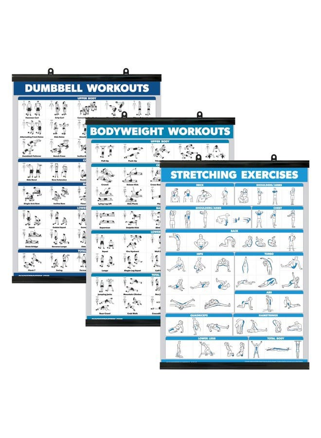 Palace Learning QuickFit 3 Pack - Dumbbell Workouts + Bodyweight Exercises + Stretching Routine Poster Set - Set of 3 Workout Charts (Laminated WITH PLASTIC FRAME, 18" x 24") - Image 1