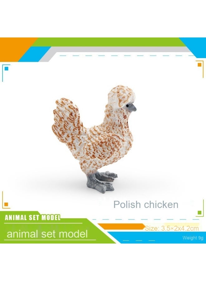NIBEMINENT Realistic Animal Model - Cognitive Pecking Chicken Polish Hen Decorative Figurine Toy for Home Decor