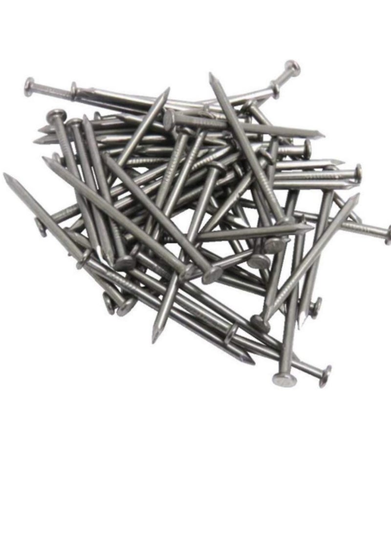 High Strength Round Head Nails For Carpentry Hardware Electrical Etc (50, 2 inch)  - Image 1