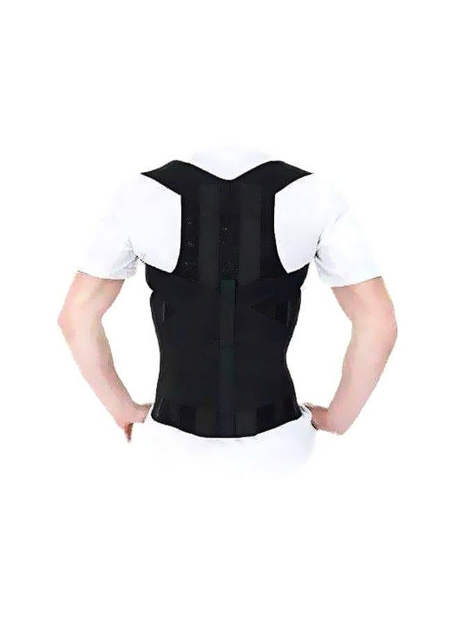 حزام الظهر المغناطيسي