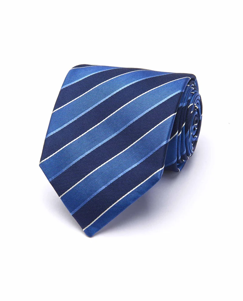 كاميتشسما ربطة عنق حرير ريجمنتال