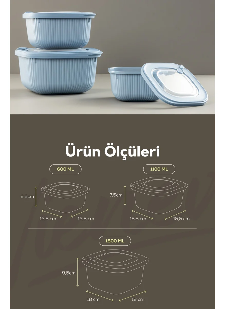 Vienev 6 Piece 2X (600-1100-1800 Ml) Microwave and Freezer Suitable VIP Covered Special Storage Container Set Blue