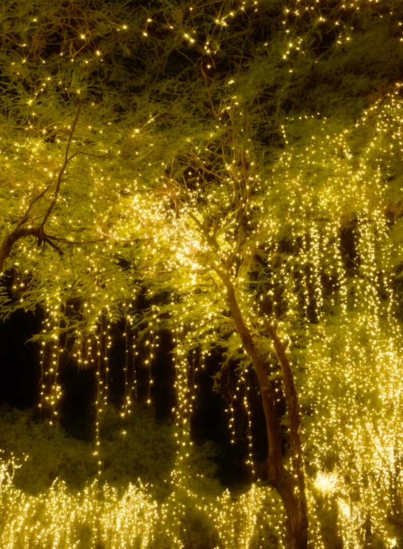 50M Warm White & Multicolor Decoration LED Rope Light on Reel – Golden Glow Decorative String Lights | Flexible, Energy Efficient | Indoor & Outdoor Festival, Party, Christmas & New Year Lighting - Image 5